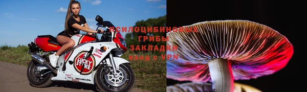 ешки Михайлов