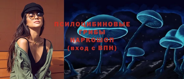 ешки Михайлов