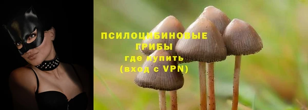 ешки Михайлов