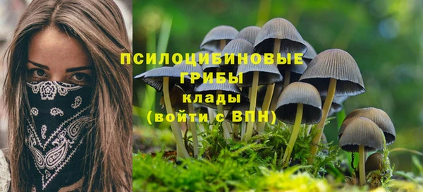 стафф Михайловск