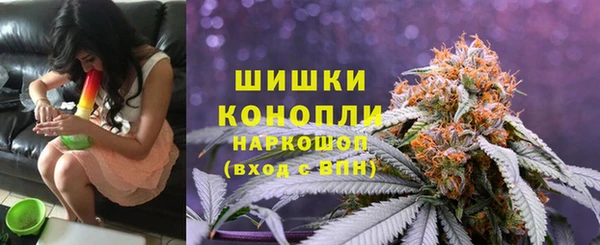 ешки Михайлов