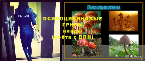 стафф Михайловск