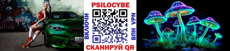 Галлюциногенные грибы Psilocybine cubensis  где найти   Тихвин 