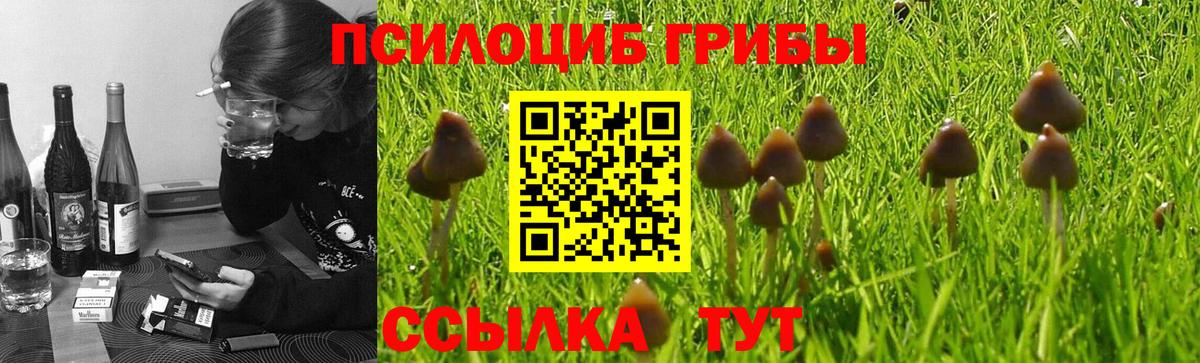 Галлюциногенные грибы Cubensis  Вход с VPN  Тихвин  Псилоцибиновые грибы прущие грибы 