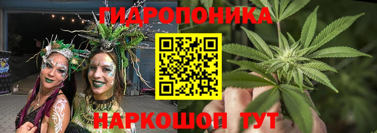 Тихвин  Бошки Шишки конопля  Конопля White Widow  Вход с VPN  Шишки марихуана гибрид 